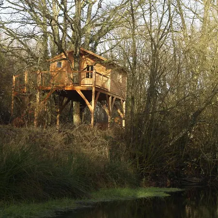 Campsite Le Bois Davy Le Thoureil
