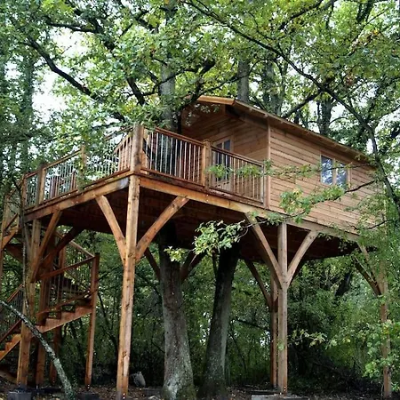 Le Bois Davy Camping Le Thoureil