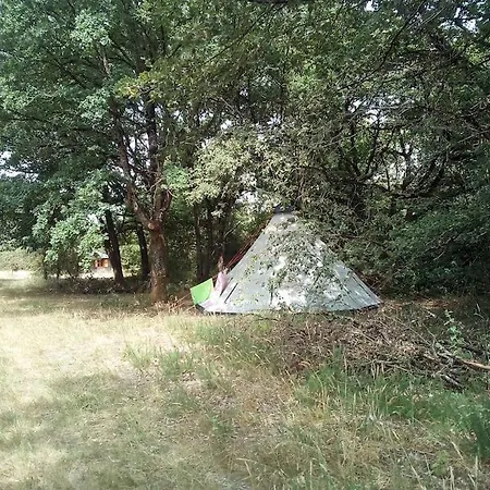 Campsite Le Bois Davy Le Thoureil