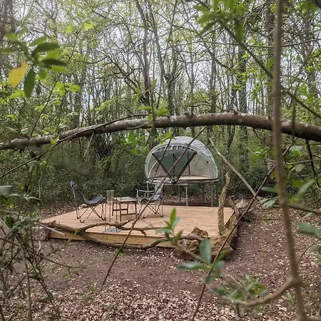 Campsite Le Bois Davy Le Thoureil