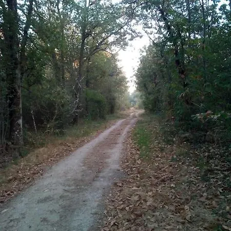 Le Bois Davy Camping Le Thoureil