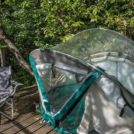 Le Bois Davy Le Thoureil