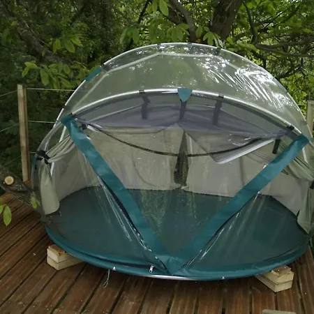 Le Bois Davy * Le Thoureil