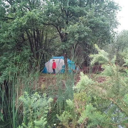 Campsite Le Bois Davy Le Thoureil