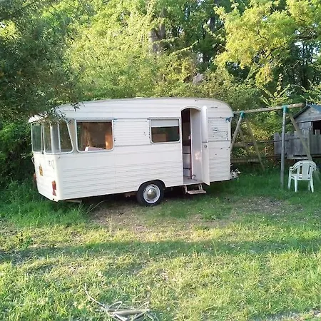 Le Bois Davy * Le Thoureil