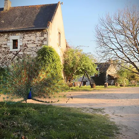 مكان تخييم Le Bois Davy