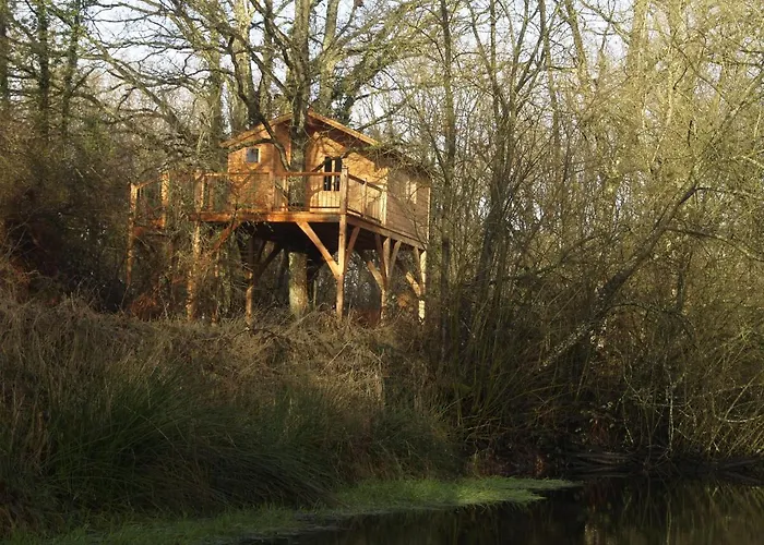 مكان تخييم Le Bois Davy Le Thoureil