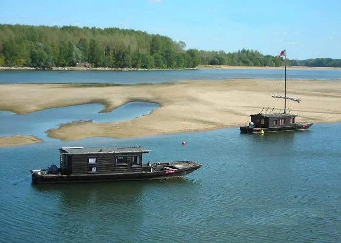 Le Bois Davy * Le Thoureil