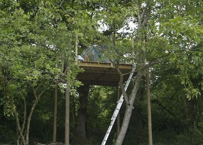 Le Bois Davy 营地 *