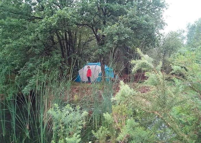 营地 Le Bois Davy Le Thoureil