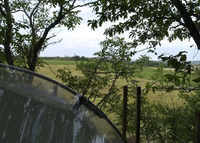 营地 Le Bois Davy *