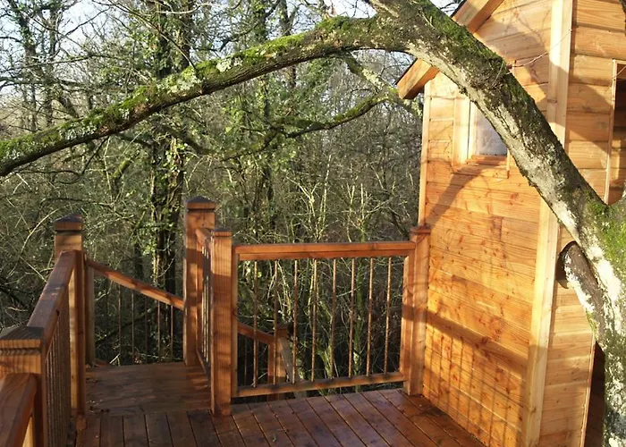 Le Bois Davy 营地 Le Thoureil