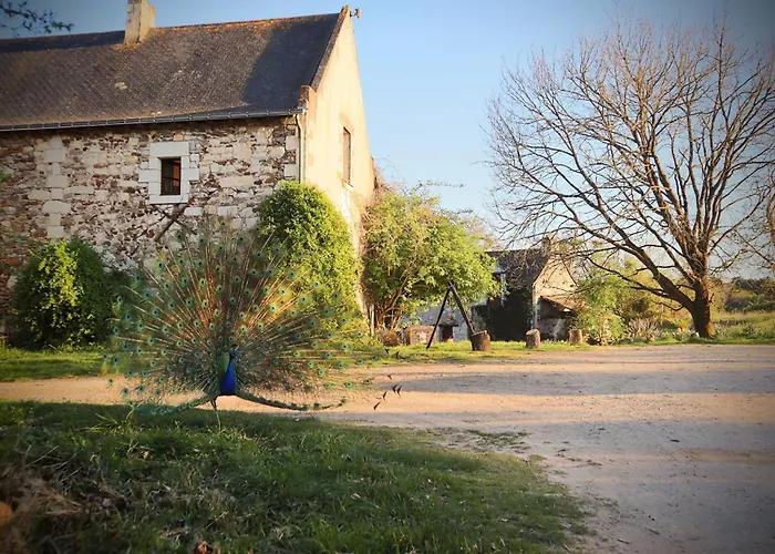 مكان تخييم Le Bois Davy